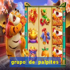 grupo de palpites de futebol whatsapp